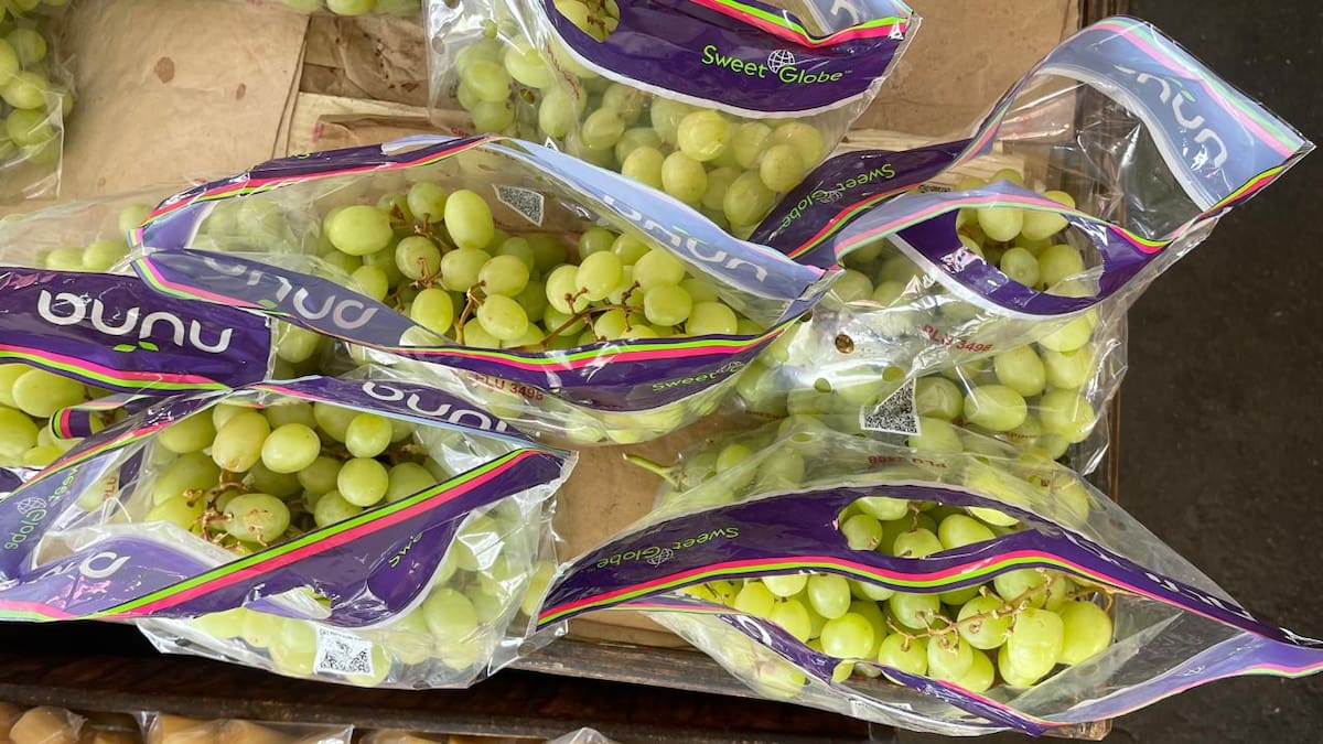 En Tijuana la venta del producto de temporada se mantiene expectante y con mayor movimiento previsto para los últimos días de diciembre, según vendedores. Foto:Michelle Castillo