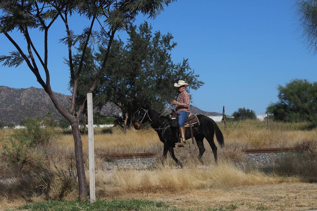 Buscan impulsar la carrera técnica de Vaquero en Navojoa