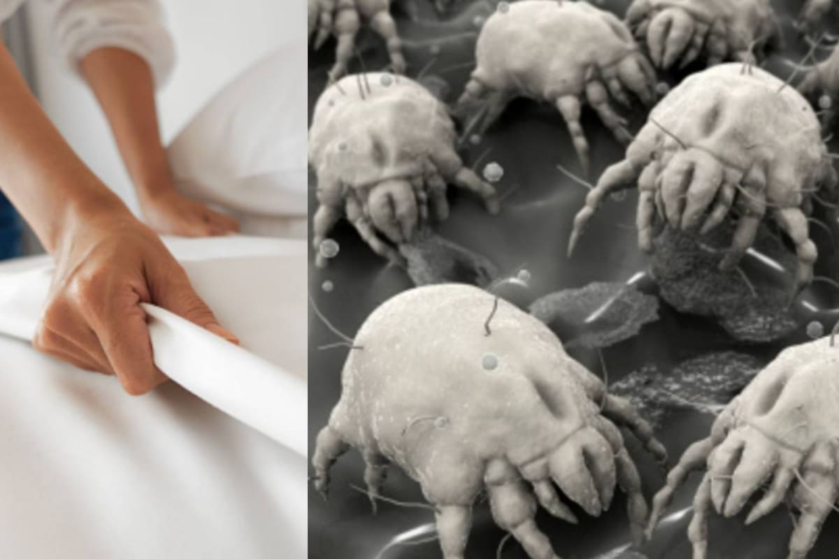 Tender la cama es malo para tu salud, revela estudio
