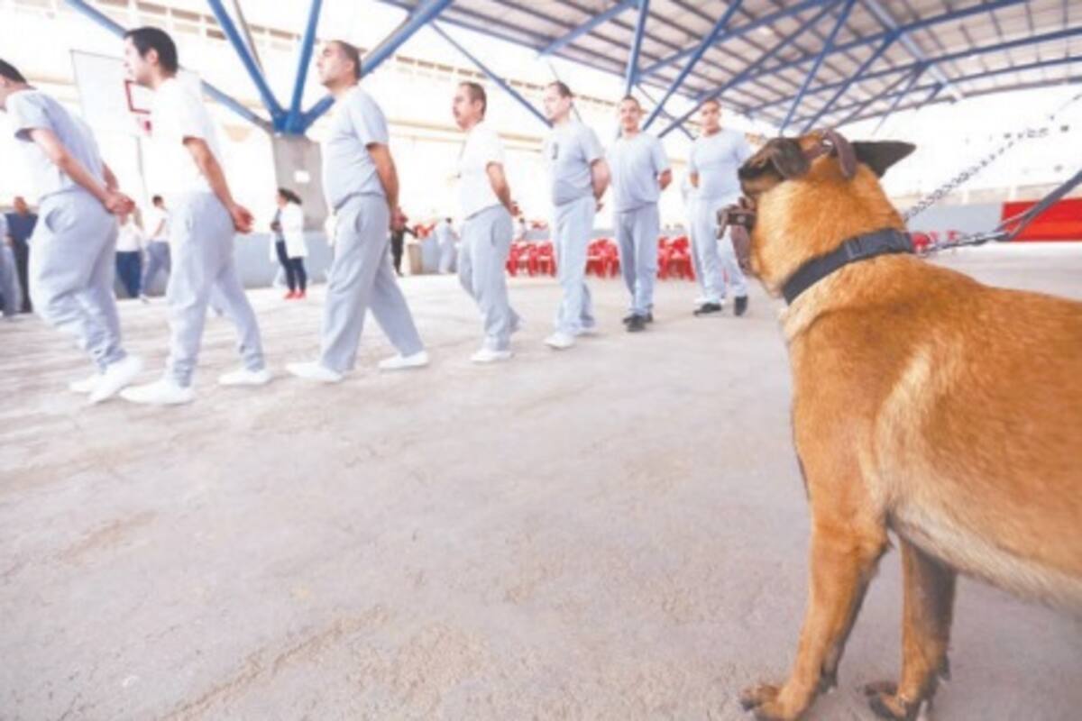 Beneficiará a 265 la ley de amnistía