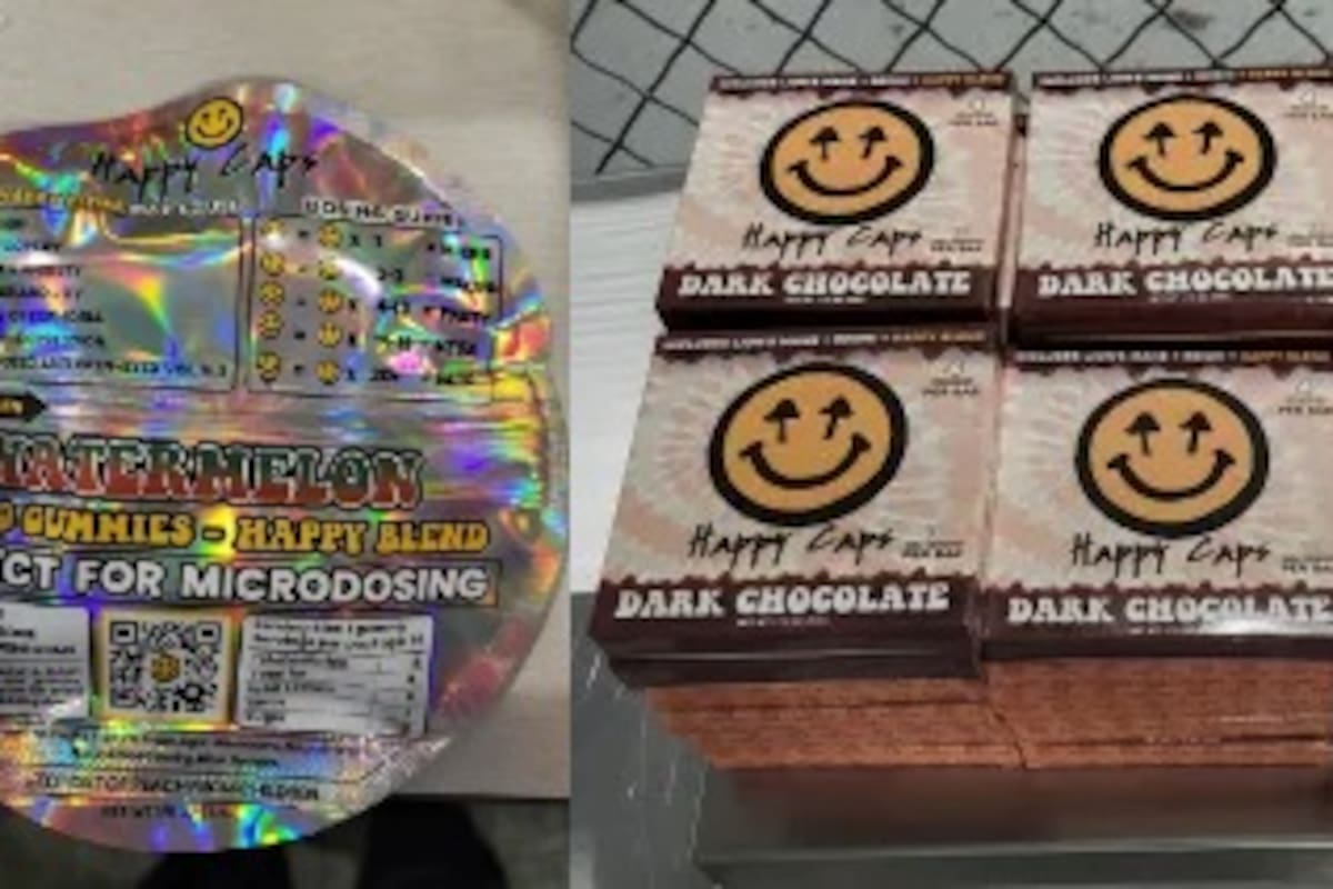 Interceptan envío de EEUU a España de chocolates y gomitas con “hongos mágicos”