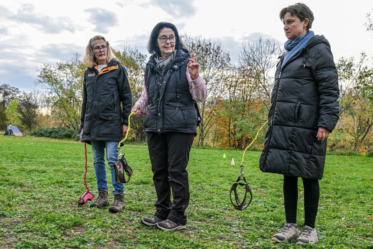 “Hobby Dogging”: así es la nueva moda viral de pasear perros imaginarios que nació en Alemania