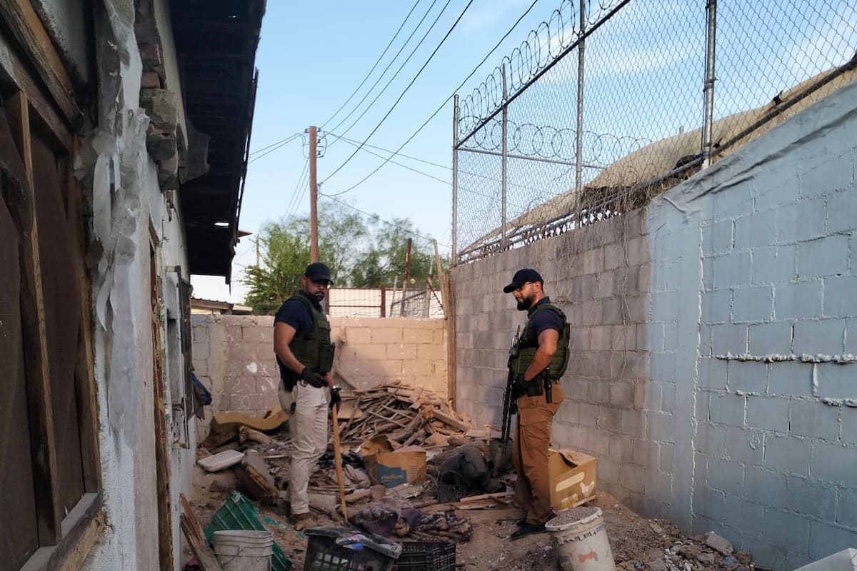 Rescatan a 10 perros en malas condiciones tras cateo