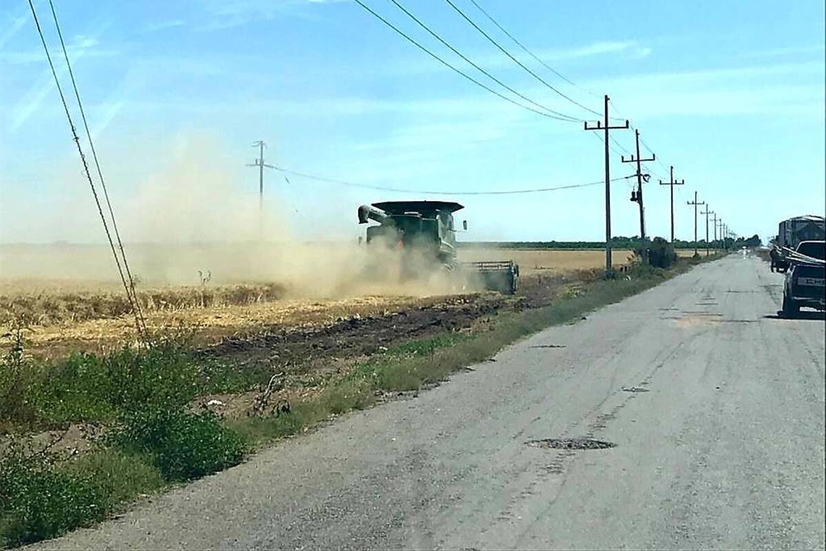 Urge a los agricultores el pago de incentivos atrasados