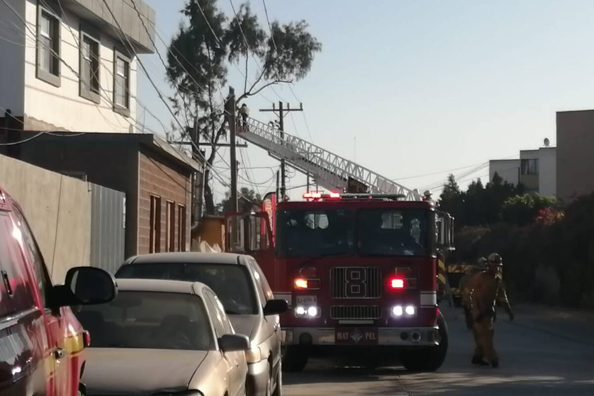Muere electrocutado mientras podaba un árbol en El Murúa