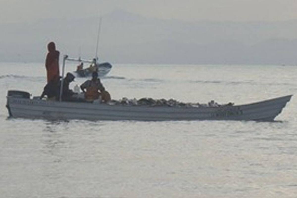 Veda para pesca de la curvina golfina inicia en la región