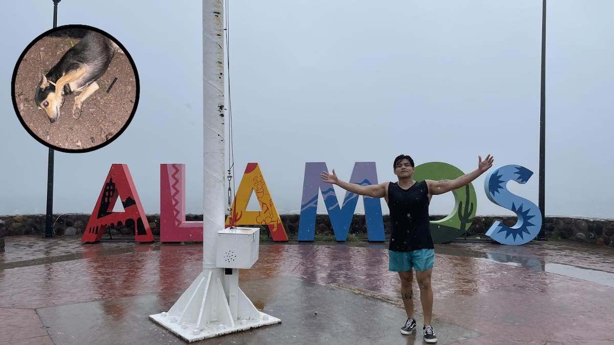 La depresión tropical “Lorena” provocó inundaciones en Álamos, Sonora, y un joven arriesgó su vida para salvar a su mascota
