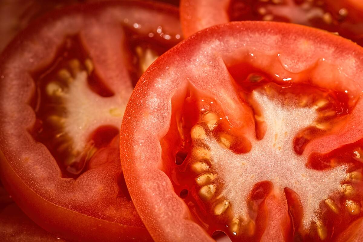Tiktoker dice que restaurante de CdMx vende ensalada de tomate en 300 pesos