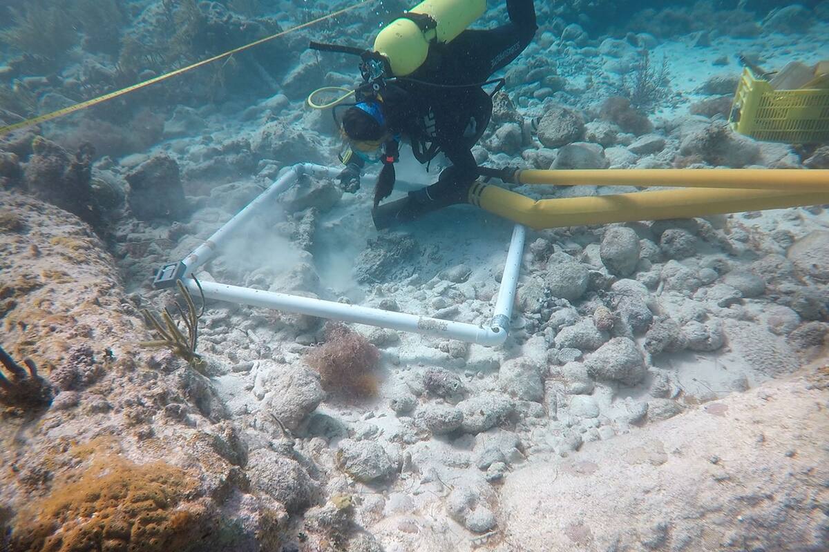 Arqueóloga analizará patrimonio cultural subacuático de BC
