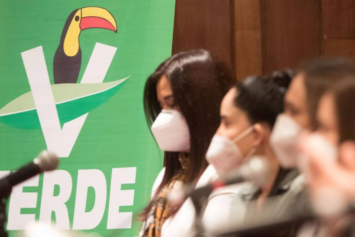 Confirman las sanciones económicas impuestas al PVEM y a diversos influencers