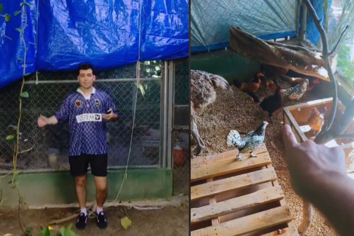 VIDEO: Hombre se viraliza por crear “arca de Noé” para proteger a sus animales del huracán Beryl