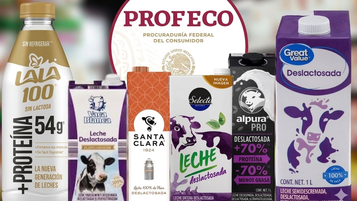 Profeco analiza marcas de leche deslactosada y concluye que las que aportan mayor proteína son Alpura Pro y Lala, mientras marcas como Vaca Blanca, Great Value y Selecto Brand son las de mayor calidad y de precio más accesible