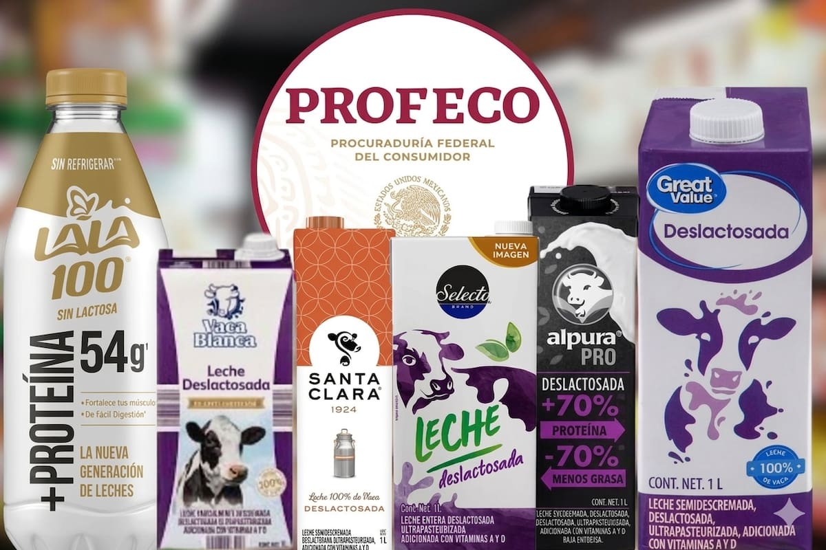 Profeco analiza marcas de leche deslactosada y concluye que las que aportan mayor proteína son Alpura Pro y Lala, mientras marcas como Vaca Blanca, Great Value y Selecto Brand son las de mayor calidad y de precio más accesible