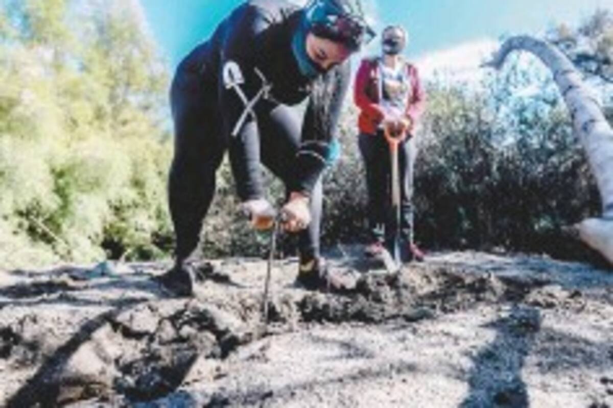 Hacen grupos 'megabúsqueda' en 5 municipios