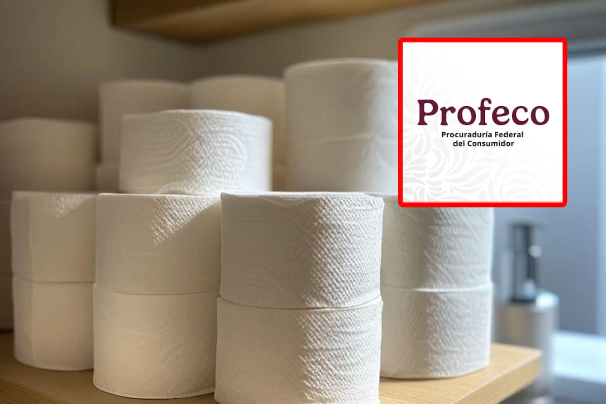 Las tres mejores marcas de papel higiénico de doble hoja según la Profeco que se desintegran en el agua