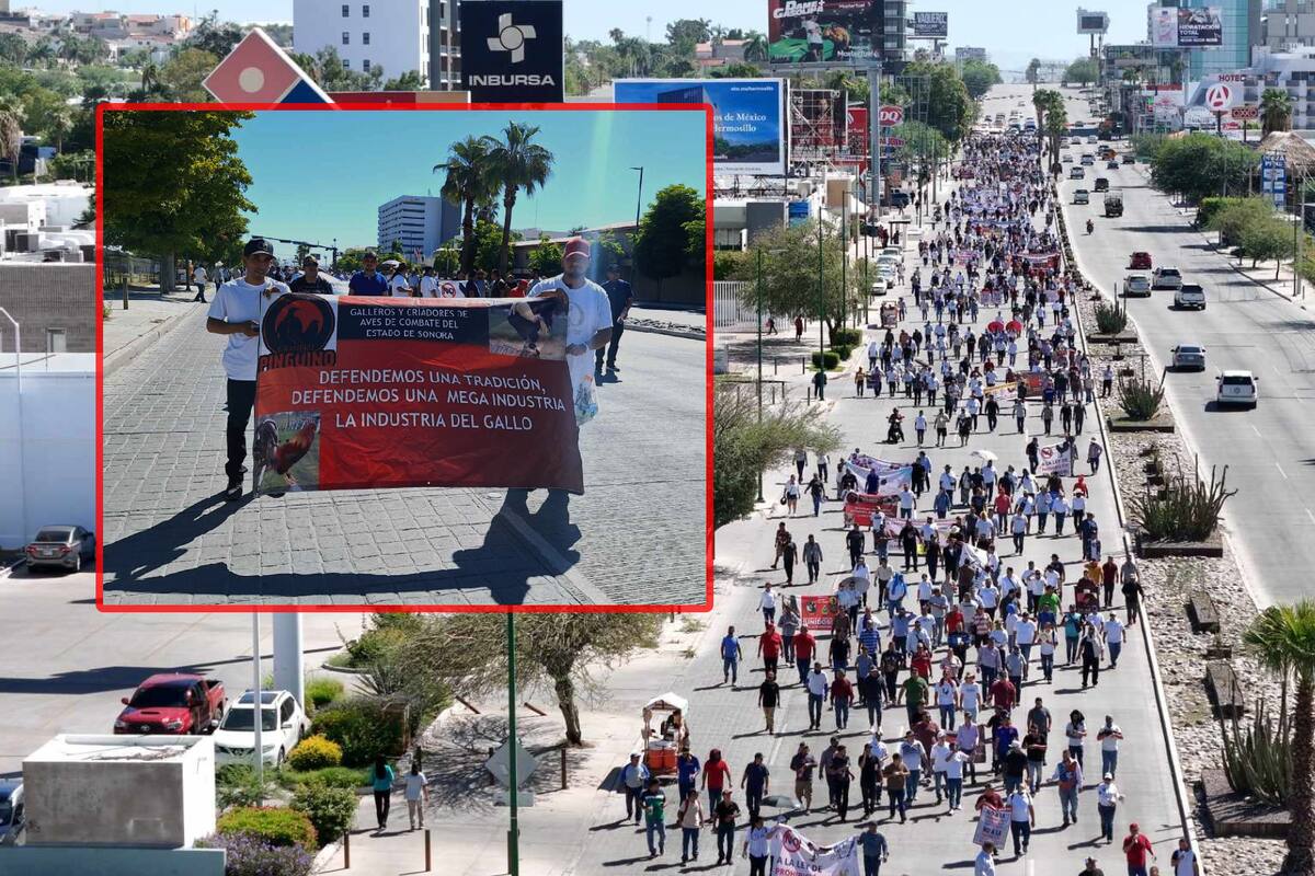 Marcha de galleros en Hermosillo: buscan amparo ante el Congreso de Sonora