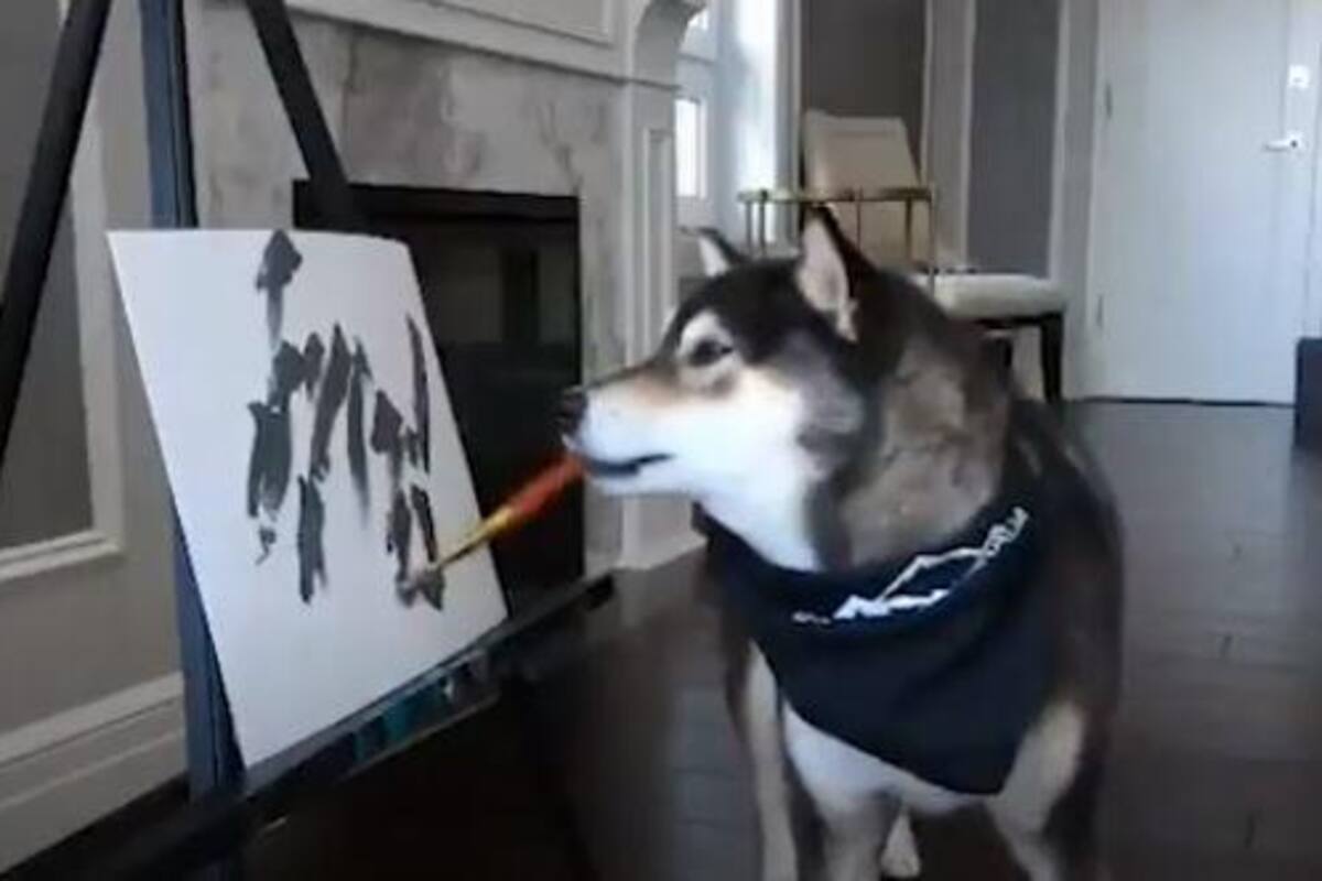 Perrito se hace famoso en Internet por el talento que tiene a la hora de pintar