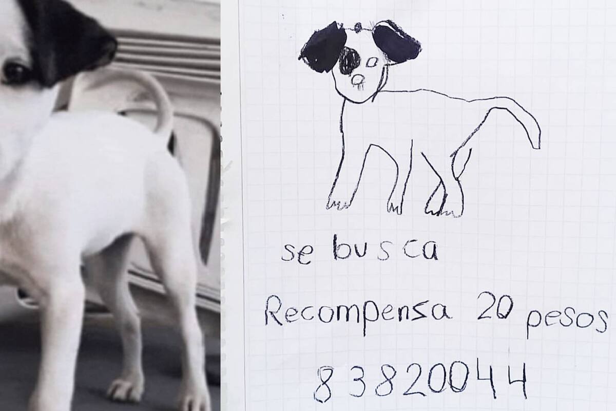 Niñas encuentran a su perrito extraviado; ofrecían recompensa de 20 pesos en cartel hecho a mano