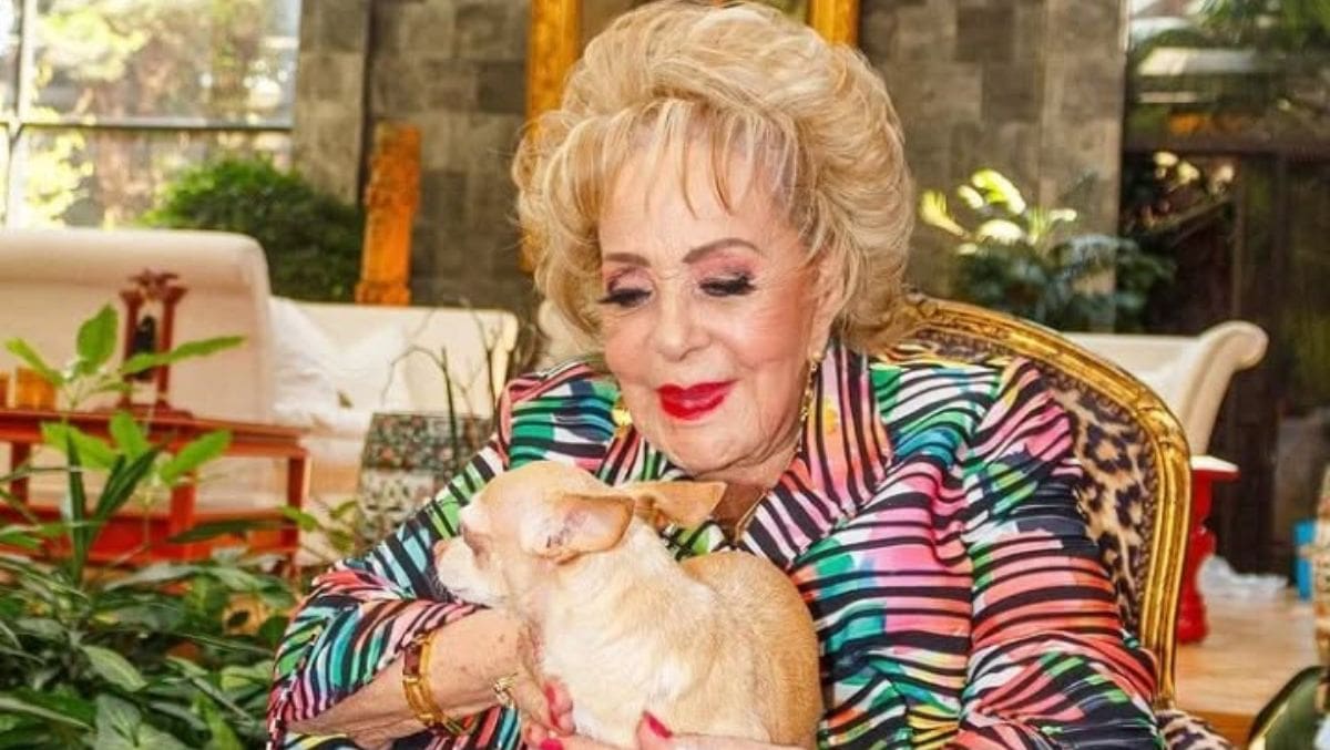 ¿Qué pasará con “Cosita”, la mascota de Silvia Pinal tras su partida? / Instagram: @silviapinal_oficial