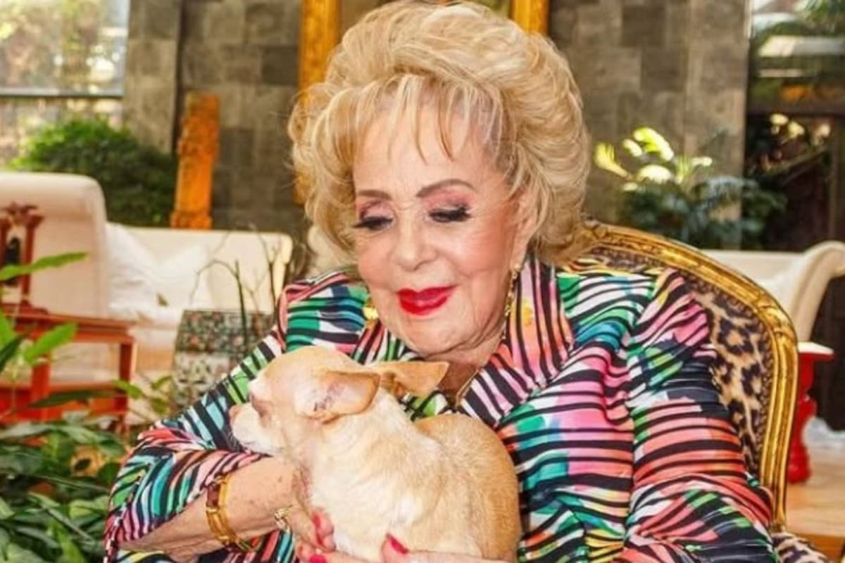 ¿Qué pasará con “Cosita”, la mascota de Silvia Pinal tras su partida?