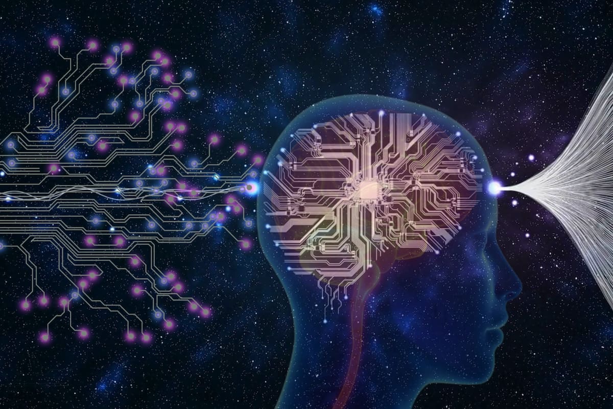 Por qué cada cerebro es distinto: la ciencia detrás de la singularidad mental