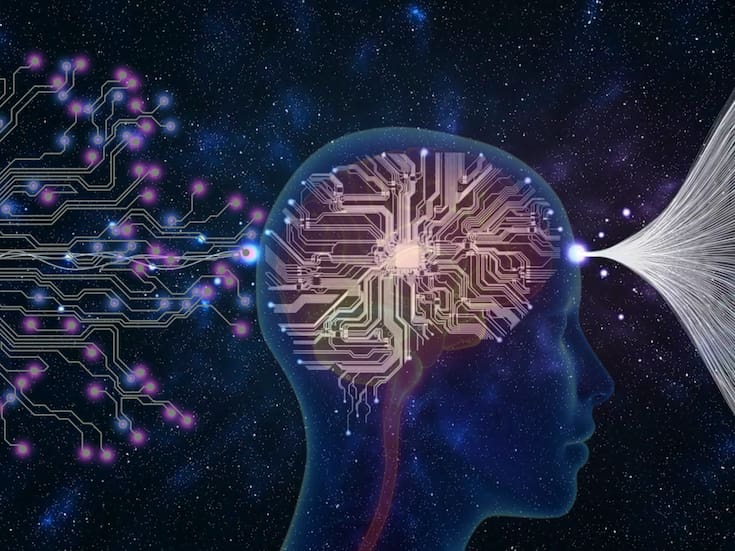 Por qué cada cerebro es distinto: la ciencia detrás de la singularidad mental