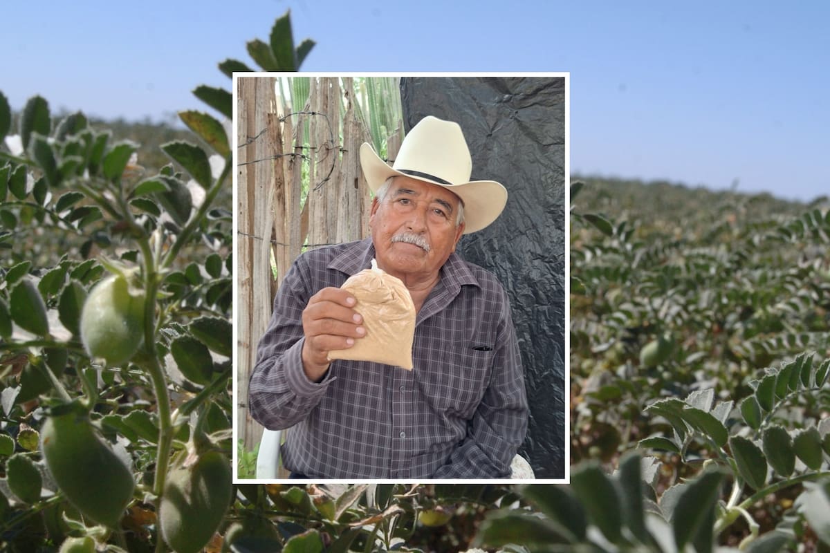 Sequía en Sonora: Es la primera vez en 60 años que Eleazar no puede sembrar