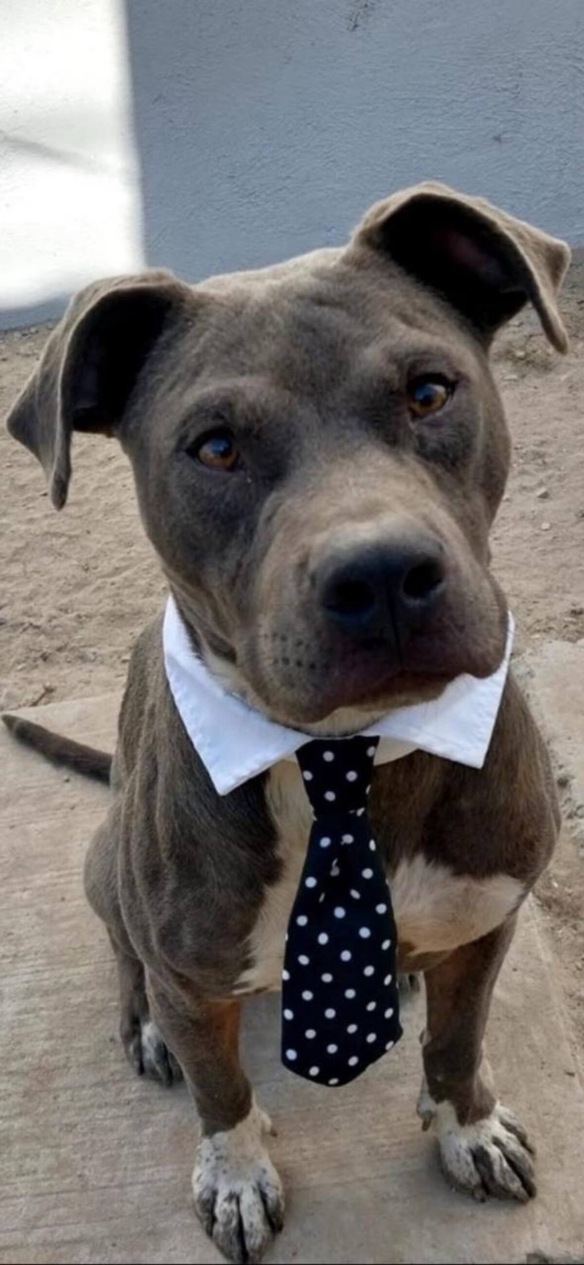 Foto: cortesía entrevistado