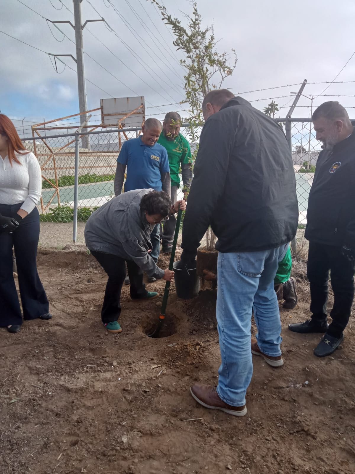 El Ayuntamiento de Rosarito puso en marcha su primer vivero, ubicado en la colonia Ampliación Leyes de Reforma.
