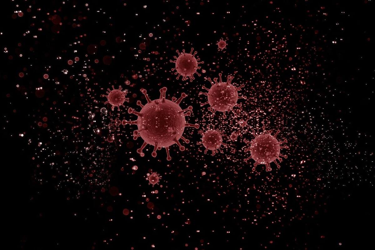 Entramos a fase 2 de pandemia de coronavirus, momento de confiar en la ciencia: Doctor