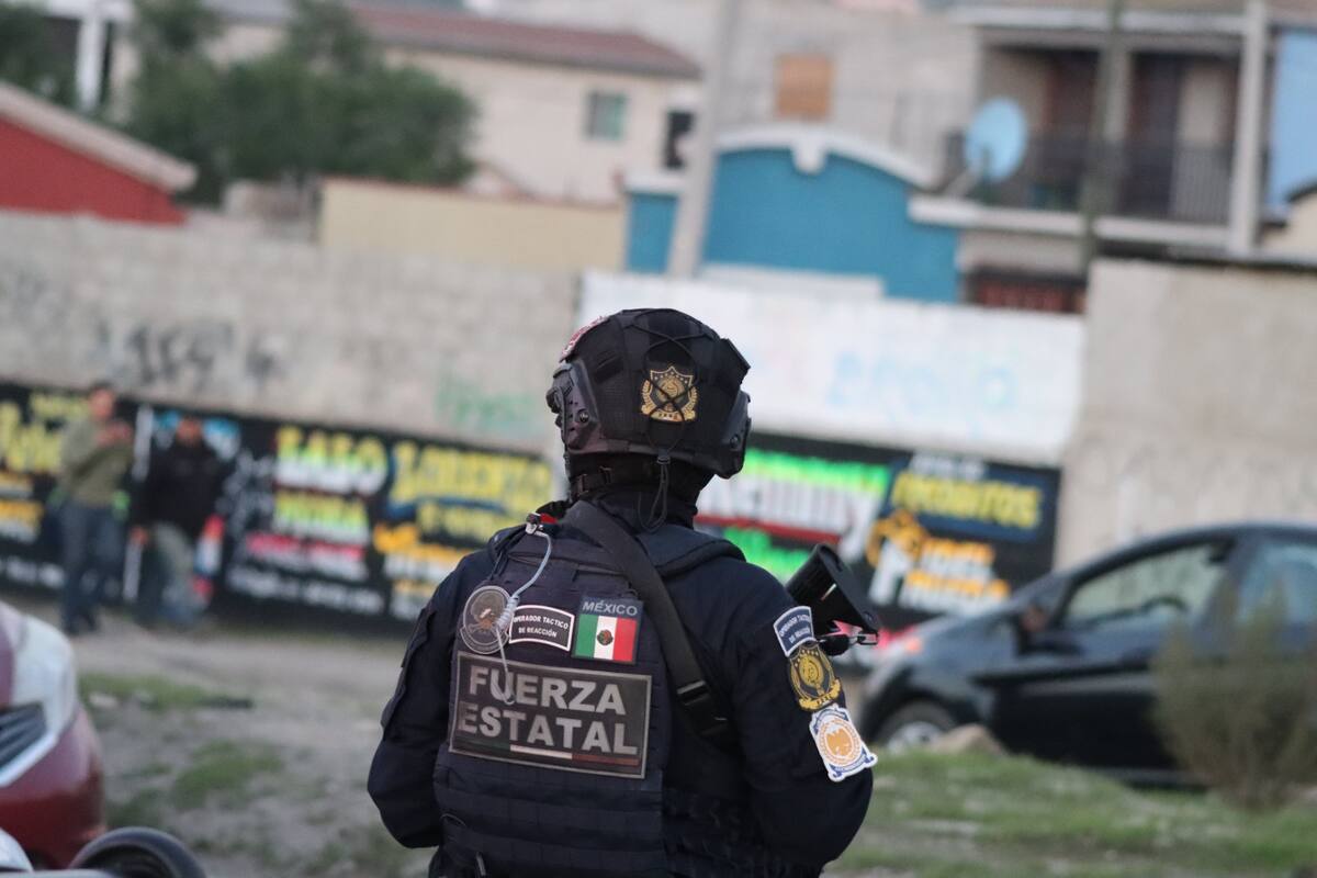 Foto: cortesía