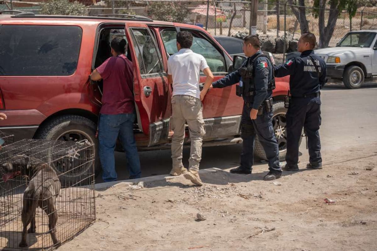 Los perros permanecieron encerrados durante varias horas en una camioneta en la colonia El Florido; tras ser rescatados, serán evaluados y posteriormente puestos en adopción.
Fotos: Border Zoom.