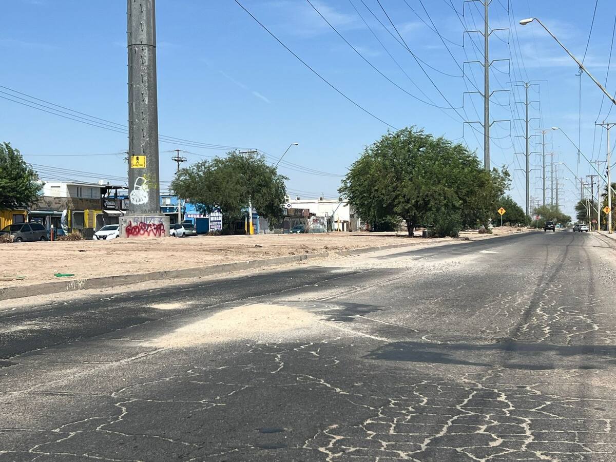 Una de las principales quejas de los residentes fue que la calzada Laguna Xochimilco, la cual pasa exactamente por en medio de la colonia, se encuentra en mal estado. Foto: Gil Reyna