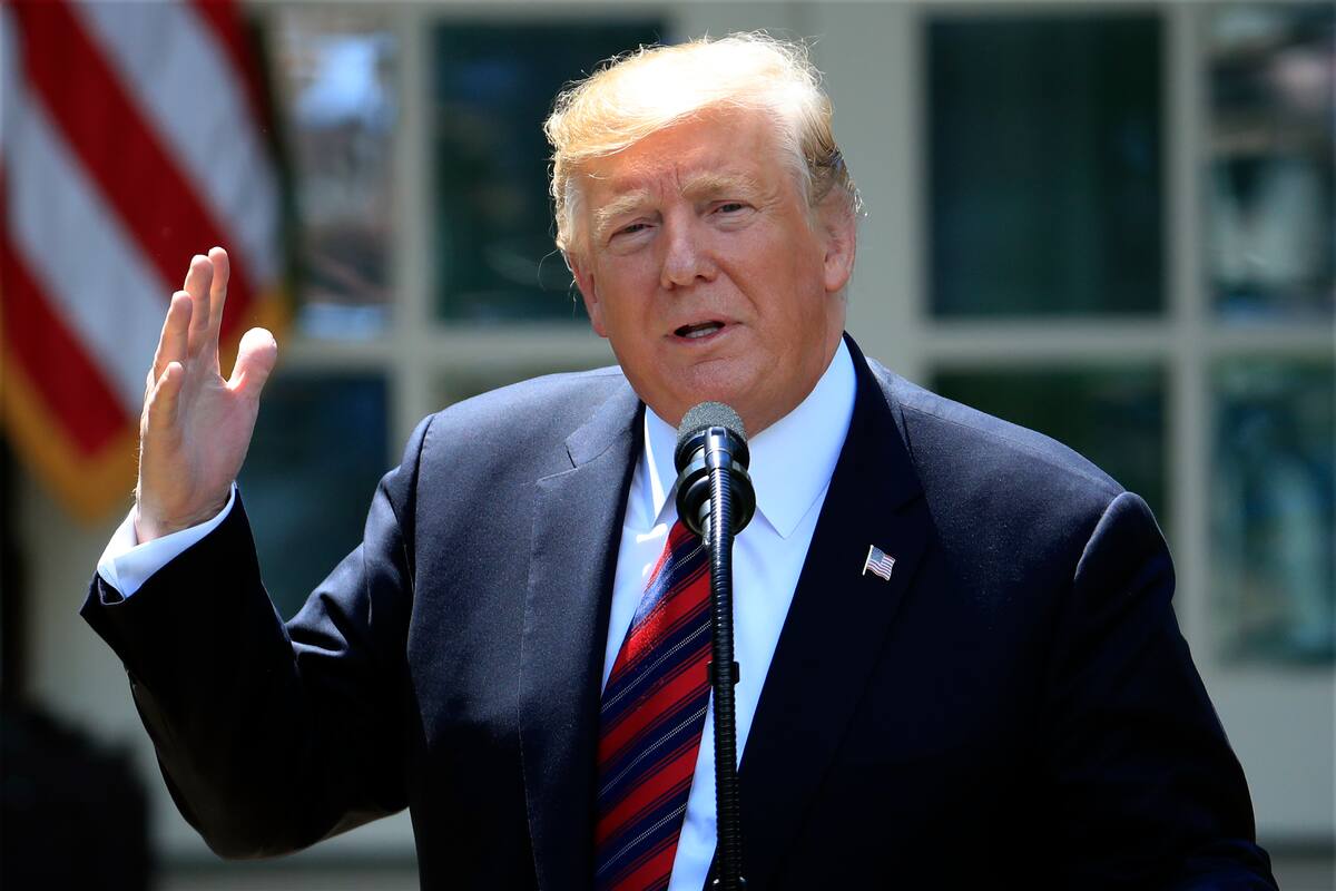 Nueva York adopta ley para poder publicar impuestos de Trump