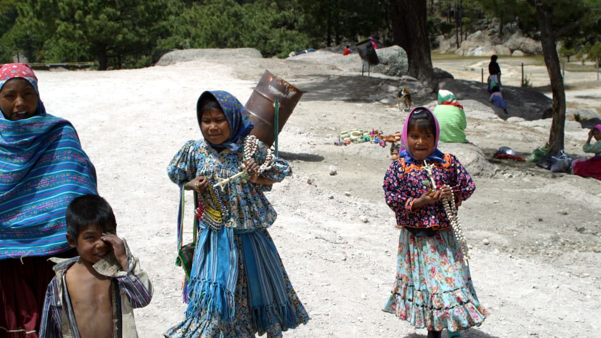 Indígenas rarámuri son desplazados por la violencia del crimen organizado en la Sierra Tarahumara, mientras organizaciones civiles alertan abandono del Estado y una crisis humanitaria que ya afecta a miles de familias en Chihuahua
