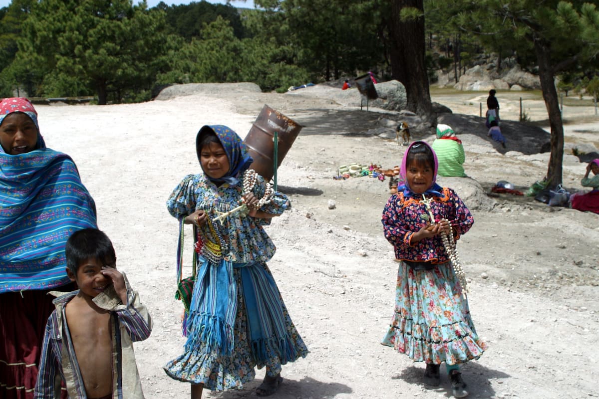 Indígenas rarámuri son desplazados por la violencia del crimen organizado en la Sierra Tarahumara, mientras organizaciones civiles alertan abandono del Estado y una crisis humanitaria que ya afecta a miles de familias en Chihuahua