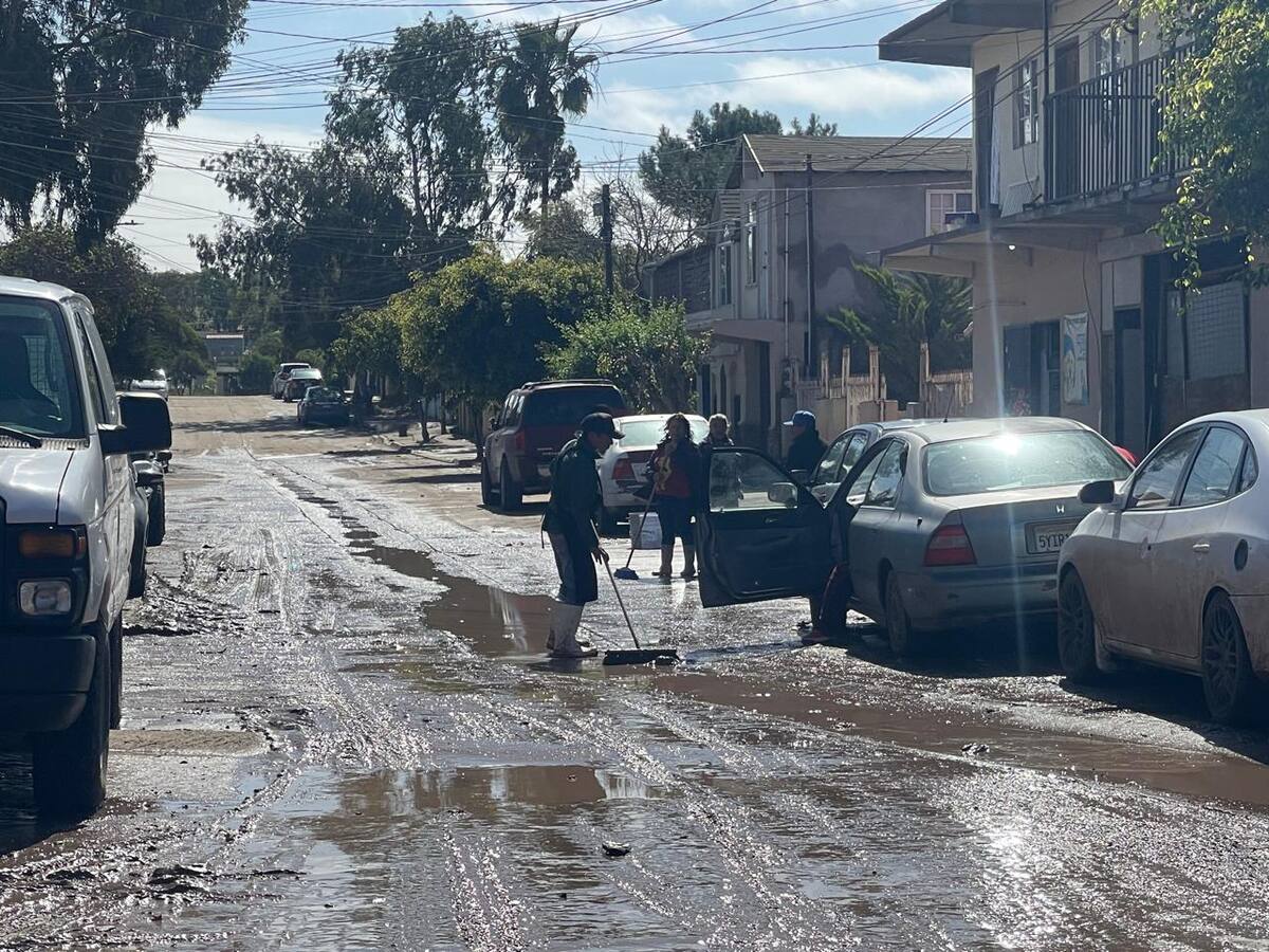 Foto: Carmen Gutiérrez