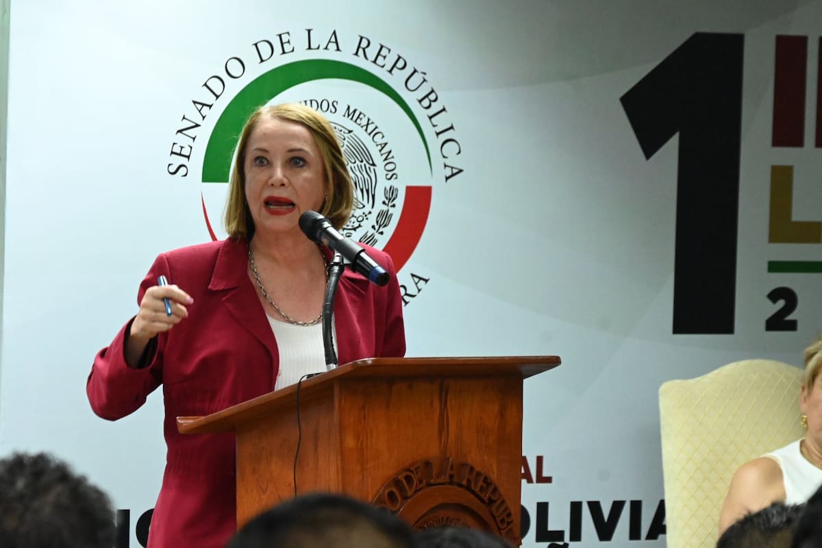 Sedena canalizará ayuda del Senado para damnificados por lluvias, para evitar politización y desvíos, anunció Laura Itzel Castillo