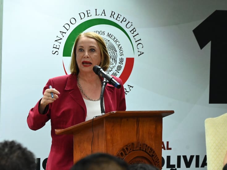 Sedena canalizará ayuda del Senado para damnificados por lluvias, para evitar politización y desvíos, anunció Laura Itzel Castillo