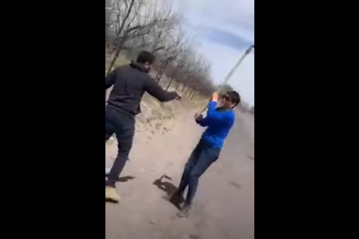 VIDEO: Mujer ataca con azadón a un hombre y a su perro; al joven le fractura el cráneo