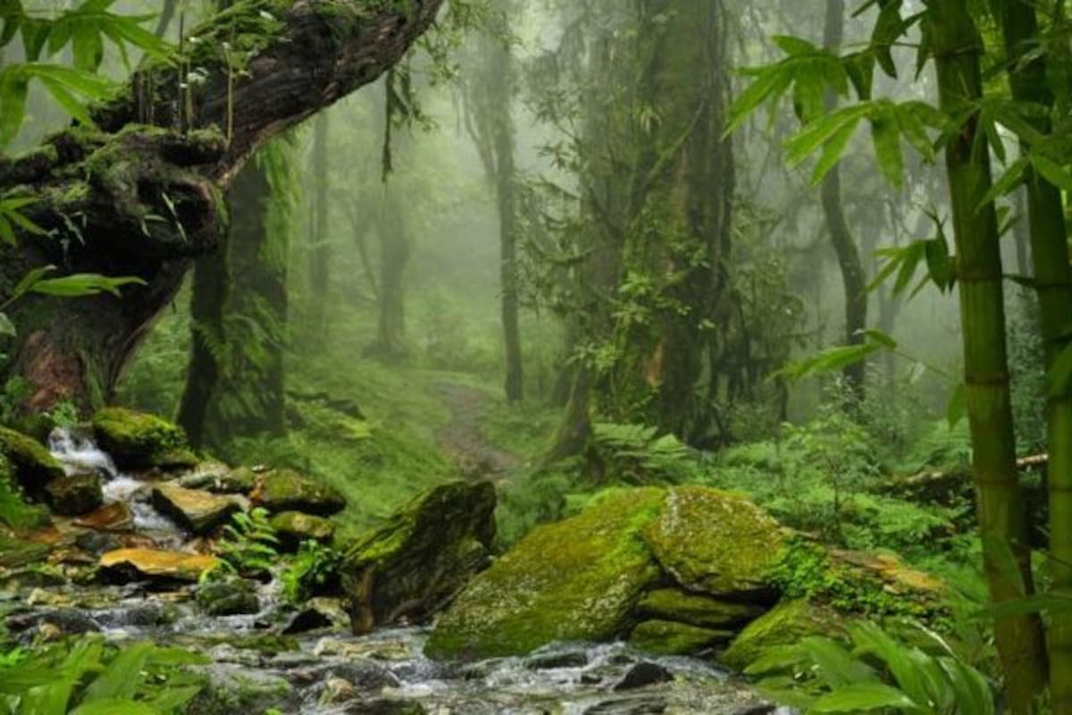 EEUU: Hombre sobrevive casi tres semanas perdido en la Sierra Nevada: “Éramos Dios y yo todas las noches”