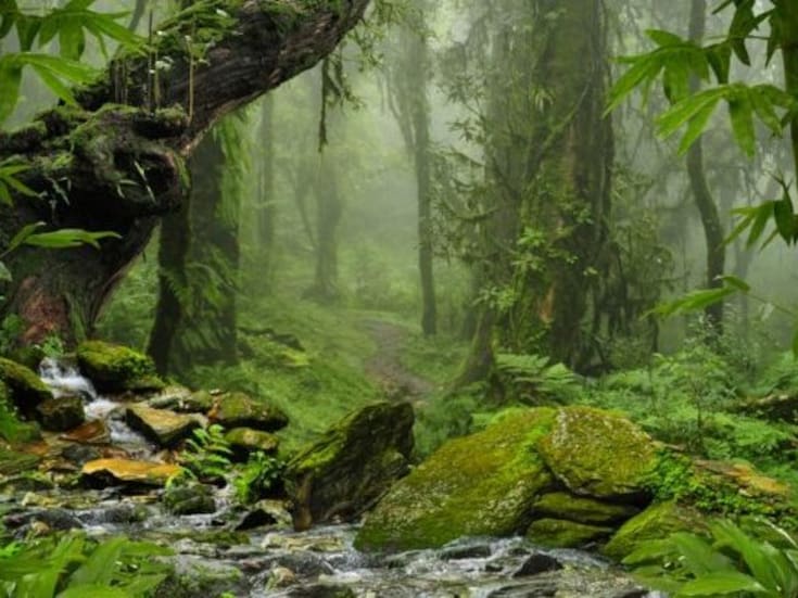 EEUU: Hombre sobrevive casi tres semanas perdido en la Sierra Nevada: “Éramos Dios y yo todas las noches”