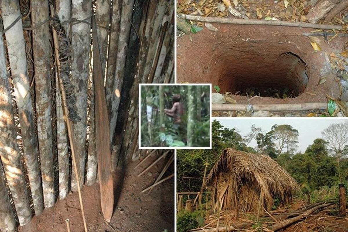 "Indio del hoyo": Hallan muerto al indígena más aislado de Brasil