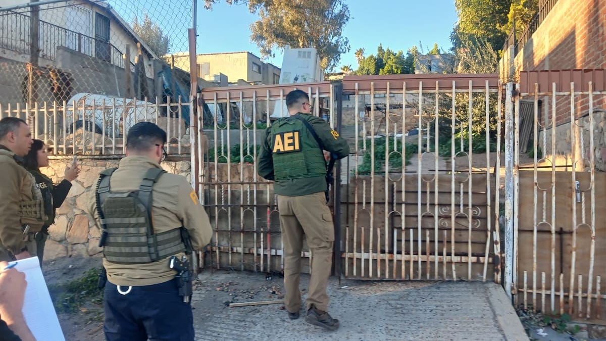 Los animales fueron localizados en condiciones de abandono extremo tras la ejecución de una orden de cateo por presunto maltrato animal. Foto: Cortesía