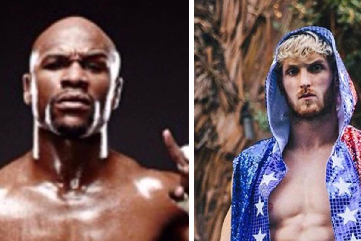 Floyd Mayweather descolgaría sus guantes para pelear contra el youtuber Logan Paul
