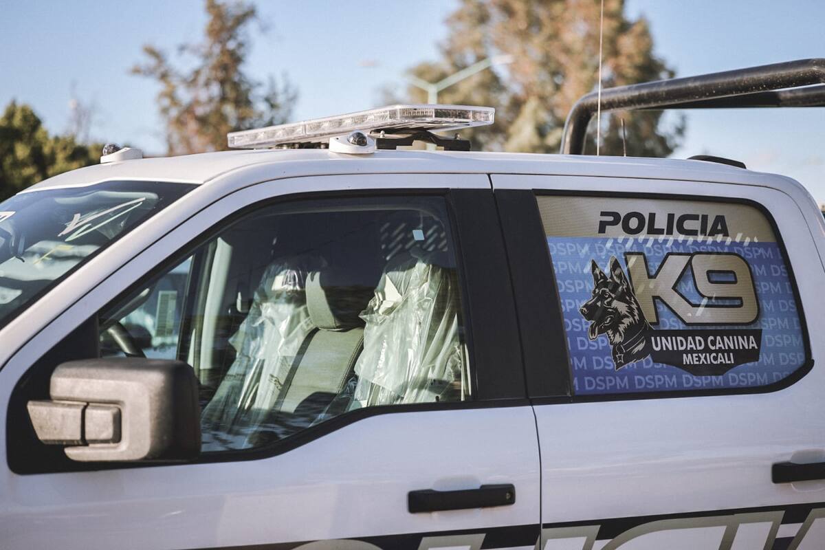 Foto: Daniel Reséndiz