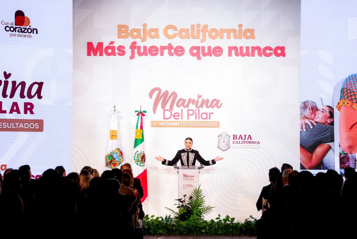 Hay 51 denuncias ante las fiscalías por un monto de 625 millones de pesos. Fotos: Cortesía