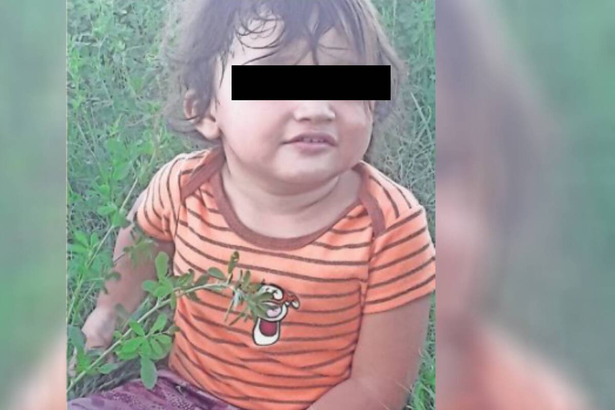 El pequeño Julián recibe el mejor regalo: Logra vencer la rickettsiosis