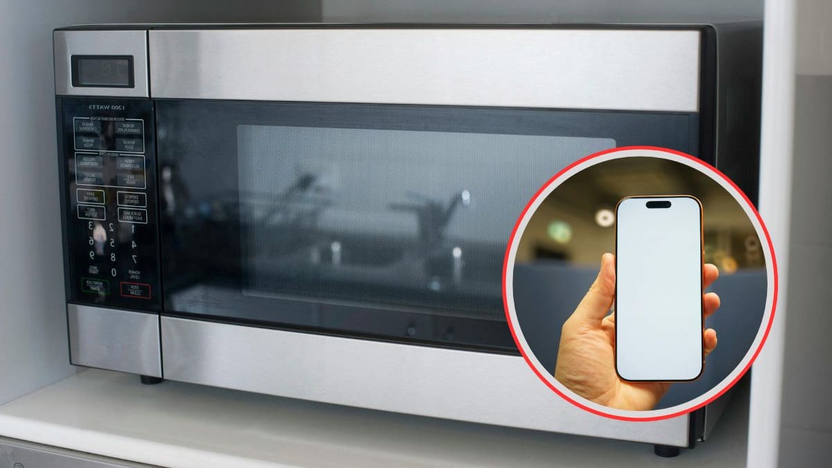 Meter el celular al microondas para “mejorar la señal” o “cargarlo rápido” es falso y puede destruir la batería, causar cortocircuitos y poner en riesgo tu casa