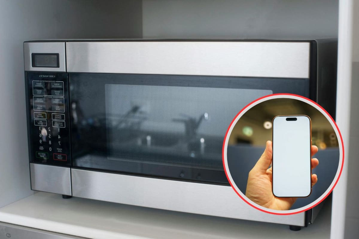 Meter el celular al microondas para “mejorar la señal” o “cargarlo rápido” es falso y puede destruir la batería, causar cortocircuitos y poner en riesgo tu casa